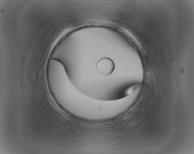 X0000081351283200702020105