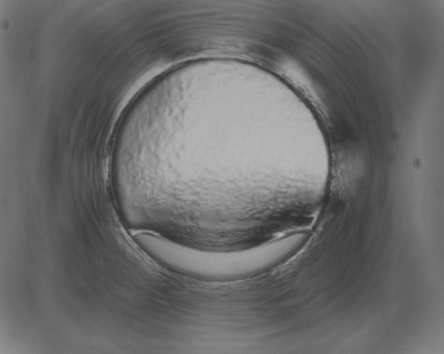 X0000081351284200702020105