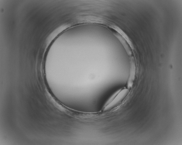 X0000081351293200702020105