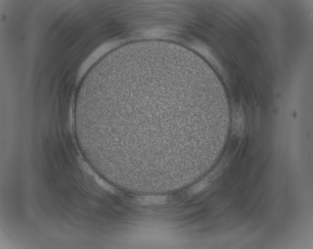 X0000081351294200702020105