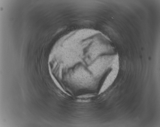 X0000081351297200702020104