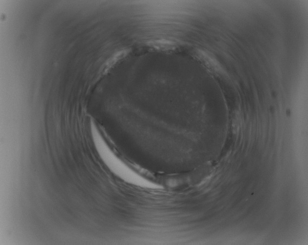X0000081351298200702020104