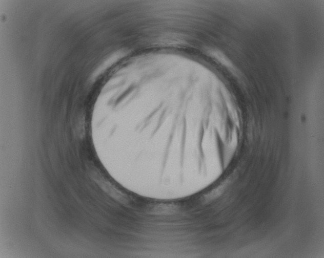 X0000081351306200702020104