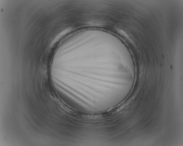 X0000081351307200702020104