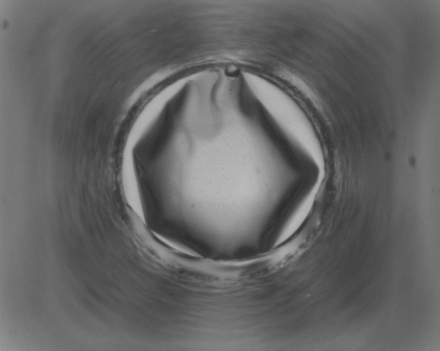 X0000081351308200702020104