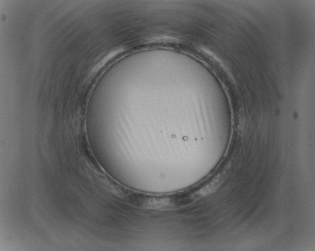 X0000081351313200702020104