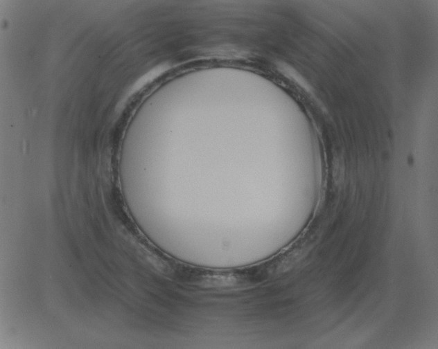 X0000081351315200702020104
