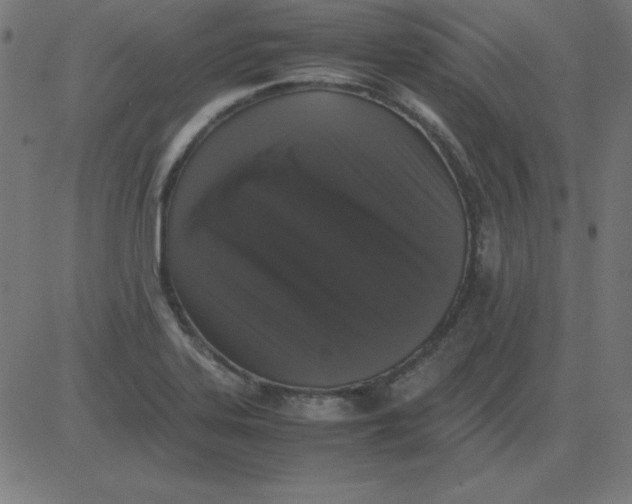 X0000081351323200702020105