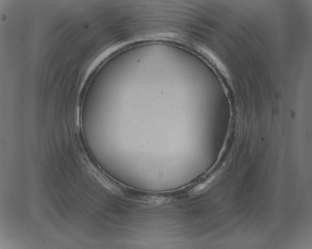 X0000081351324200702020105