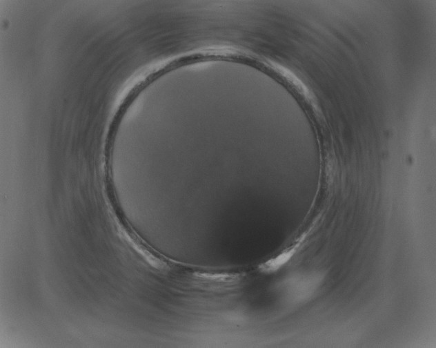 X0000081351327200702020105