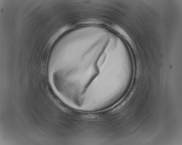 X0000081351329200702020105