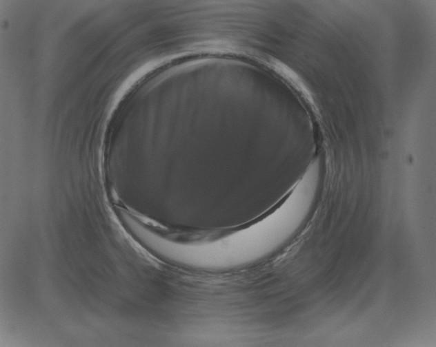 X0000081351334200702020105