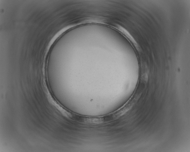 X0000081351339200702020105