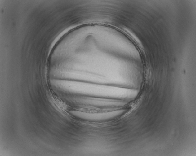 X0000081351340200702020105