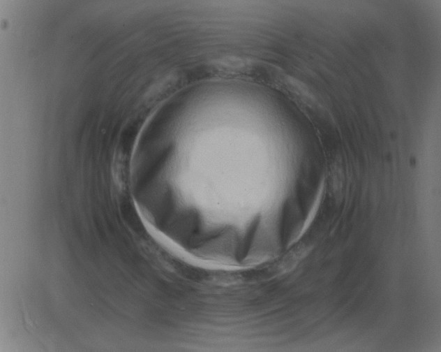 X0000081351346200702020104