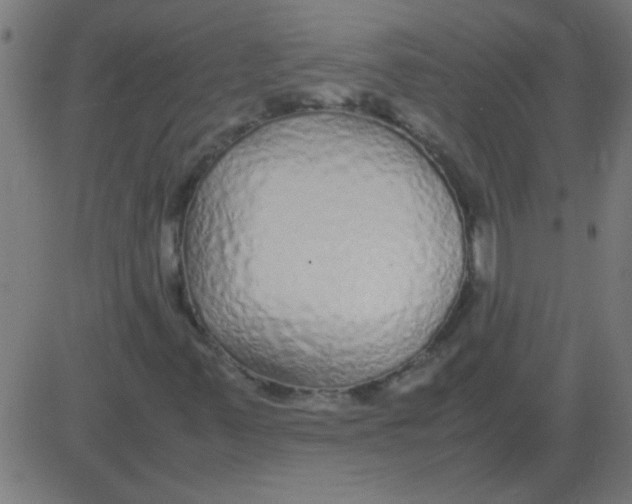 X0000081351347200702020104