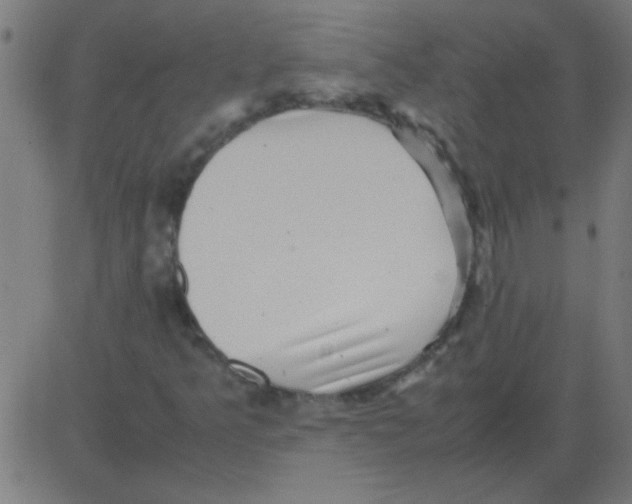 X0000081351349200702020104