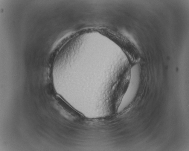 X0000081351352200702020104