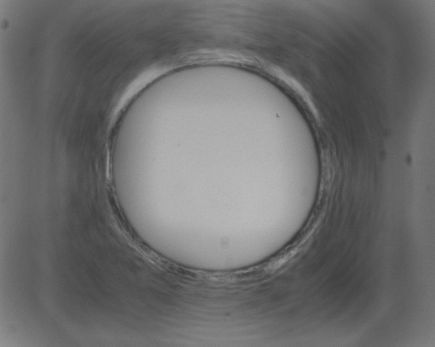 X0000081351365200702020104