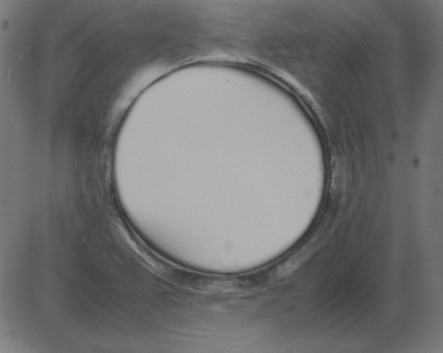 X0000081351367200702020104