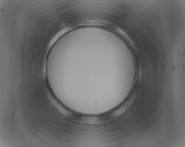X0000081351370200702020104
