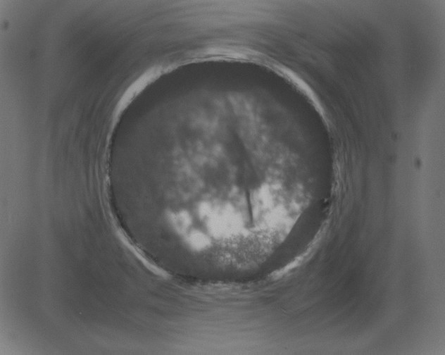 X0000081351373200702020104