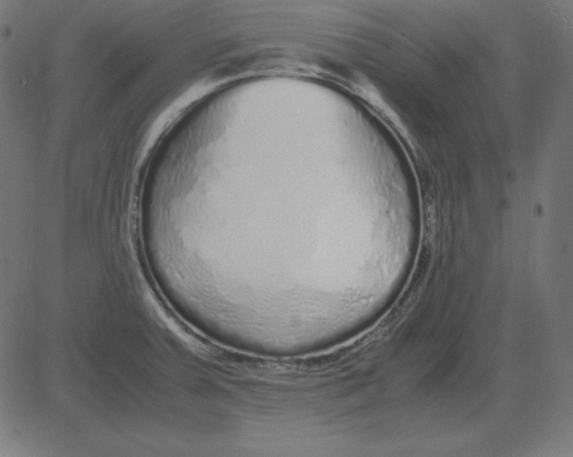 X0000081351379200702020104
