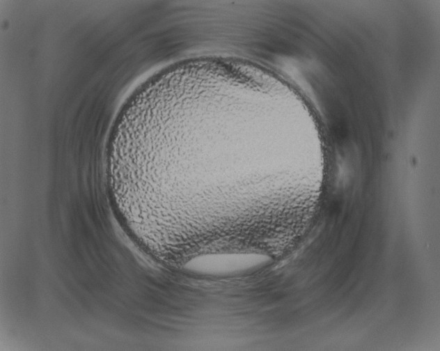 X0000081351380200702020104