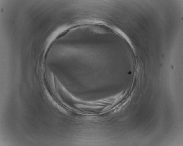 X0000081351381200702020104