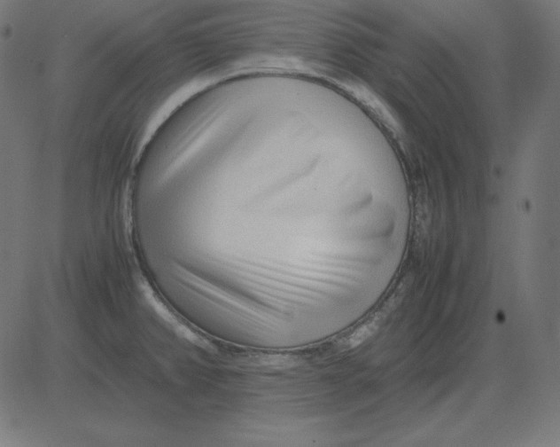 X0000081351382200702020104