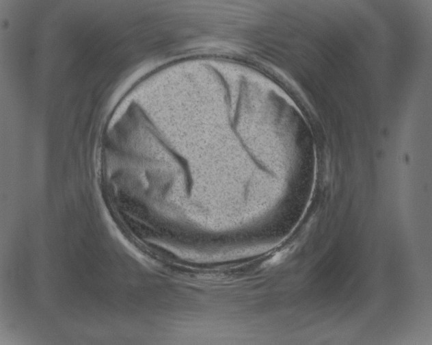 X0000081351383200702020104