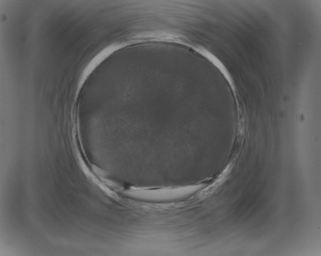 X0000081351389200702020103