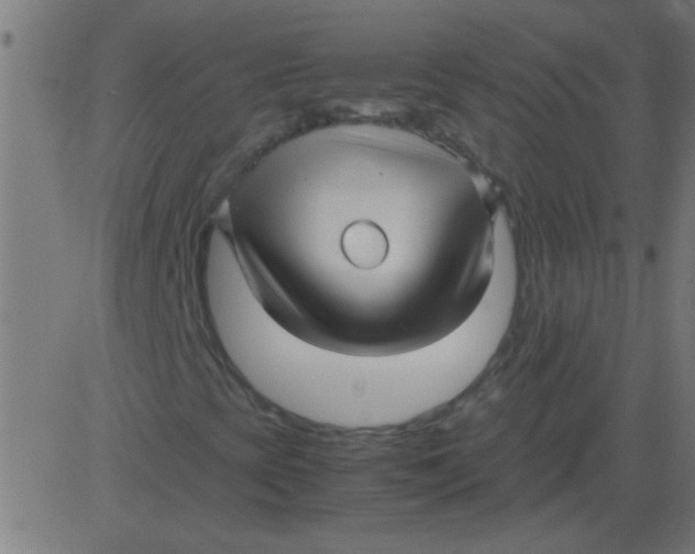 X0000081351393200702020103