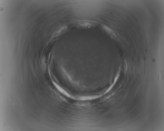 X0000081351394200702020103
