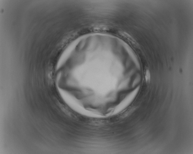 X0000081351396200702020103