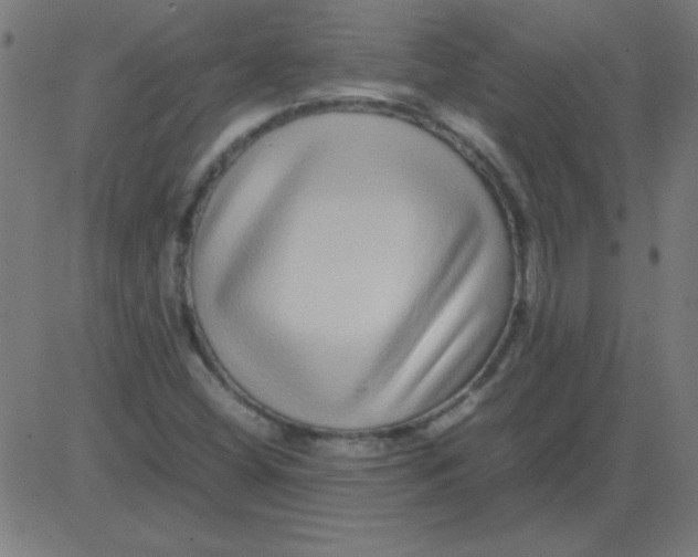 X0000081351404200702020103