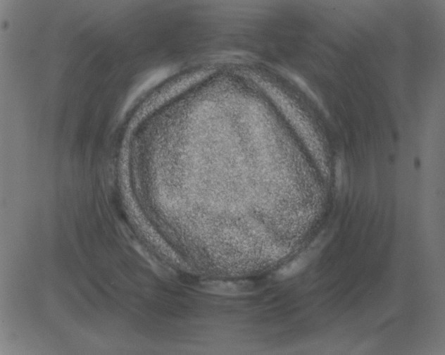 X0000081351405200702020103