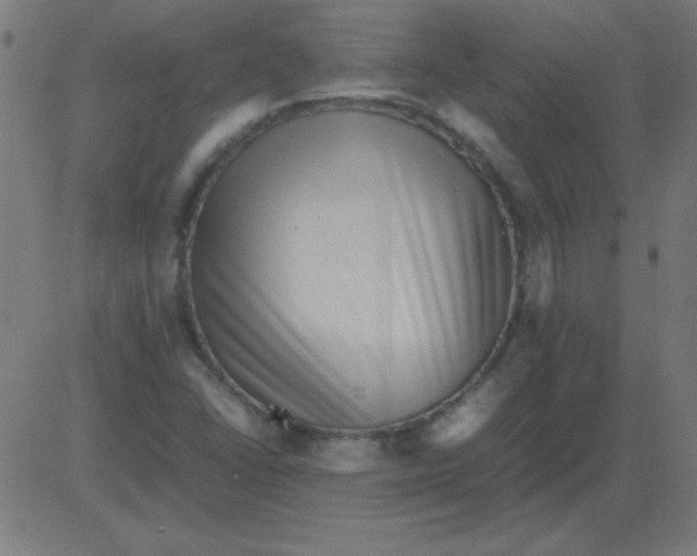 X0000081351406200702020103