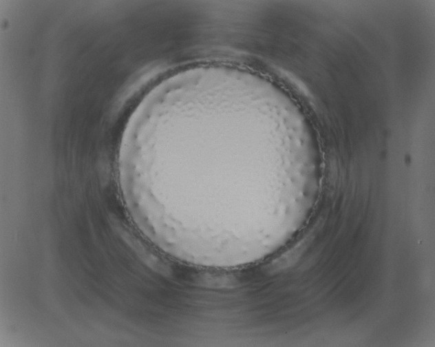 X0000081351407200702020103