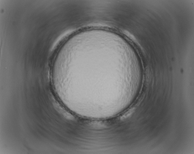 X0000081351408200702020103