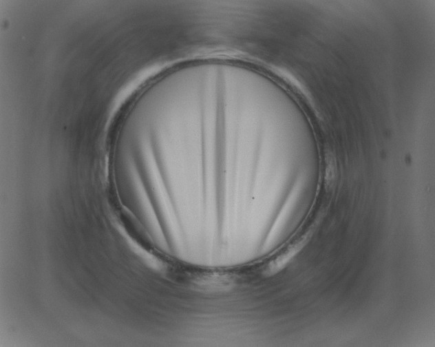 X0000081351414200702020103