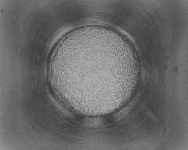 X0000081351415200702020103