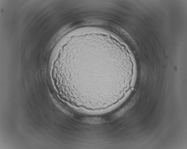 X0000081351417200702020103