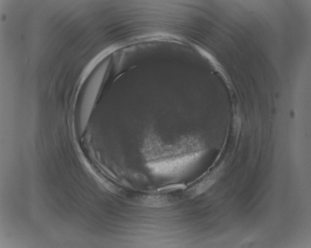 X0000081351418200702020103