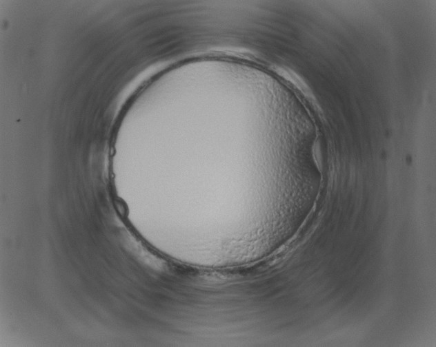 X0000081351420200702020103