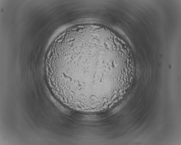 X0000081351421200702020103