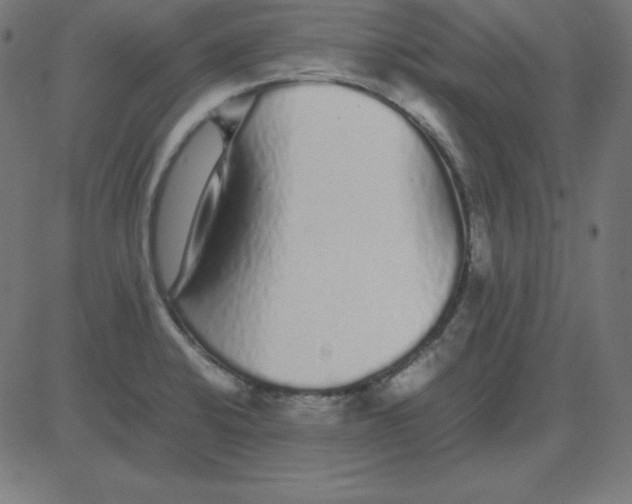 X0000081351424200702020103
