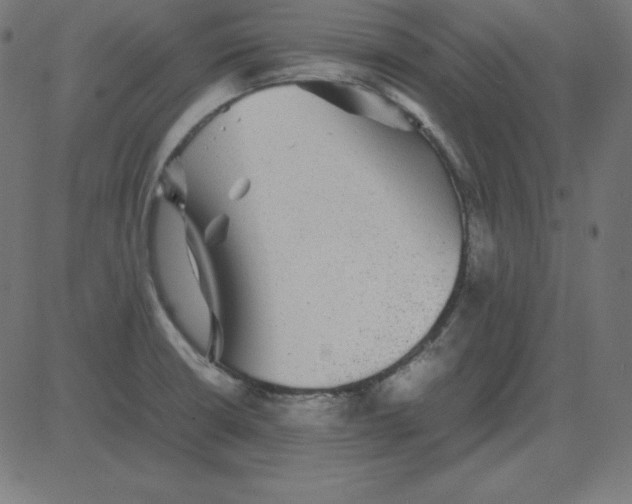 X0000081351426200702020103