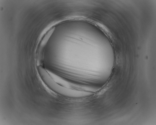 X0000081351430200702020103