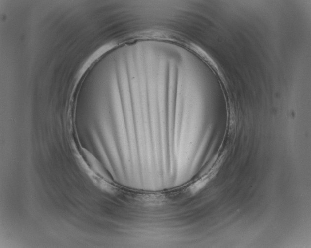 X0000081351434200702020103
